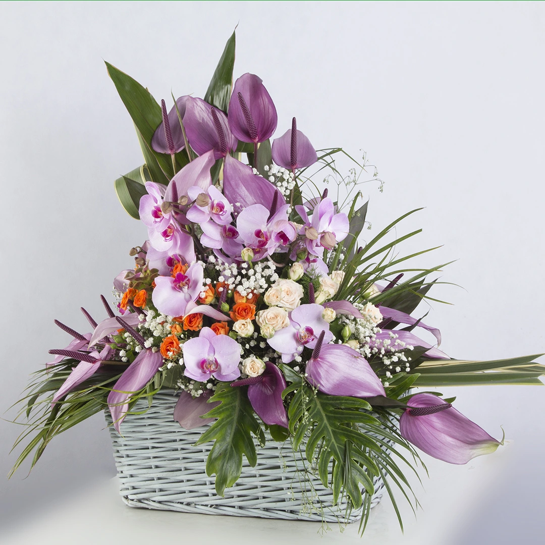 مدل سبد گل هدیه گل ارکیده و گل آنتوریوم کد 3240