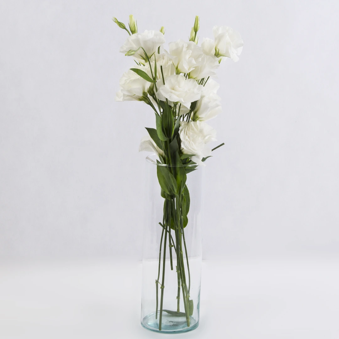عکس گل لیسیانتوس سفید (یک بسته)