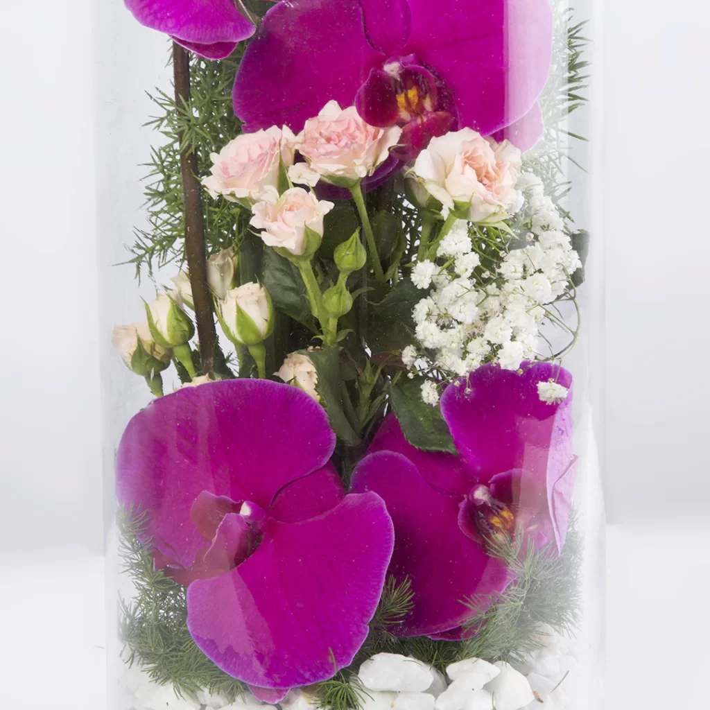 عکس گلدان گل هدیه با گل ارکیده و گل انتوریم کد 1250