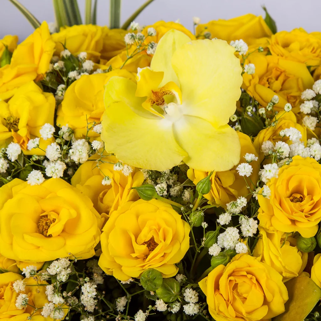 عکس باکس گل چوبی گل رز مینیاتوری زرد کد 2240
