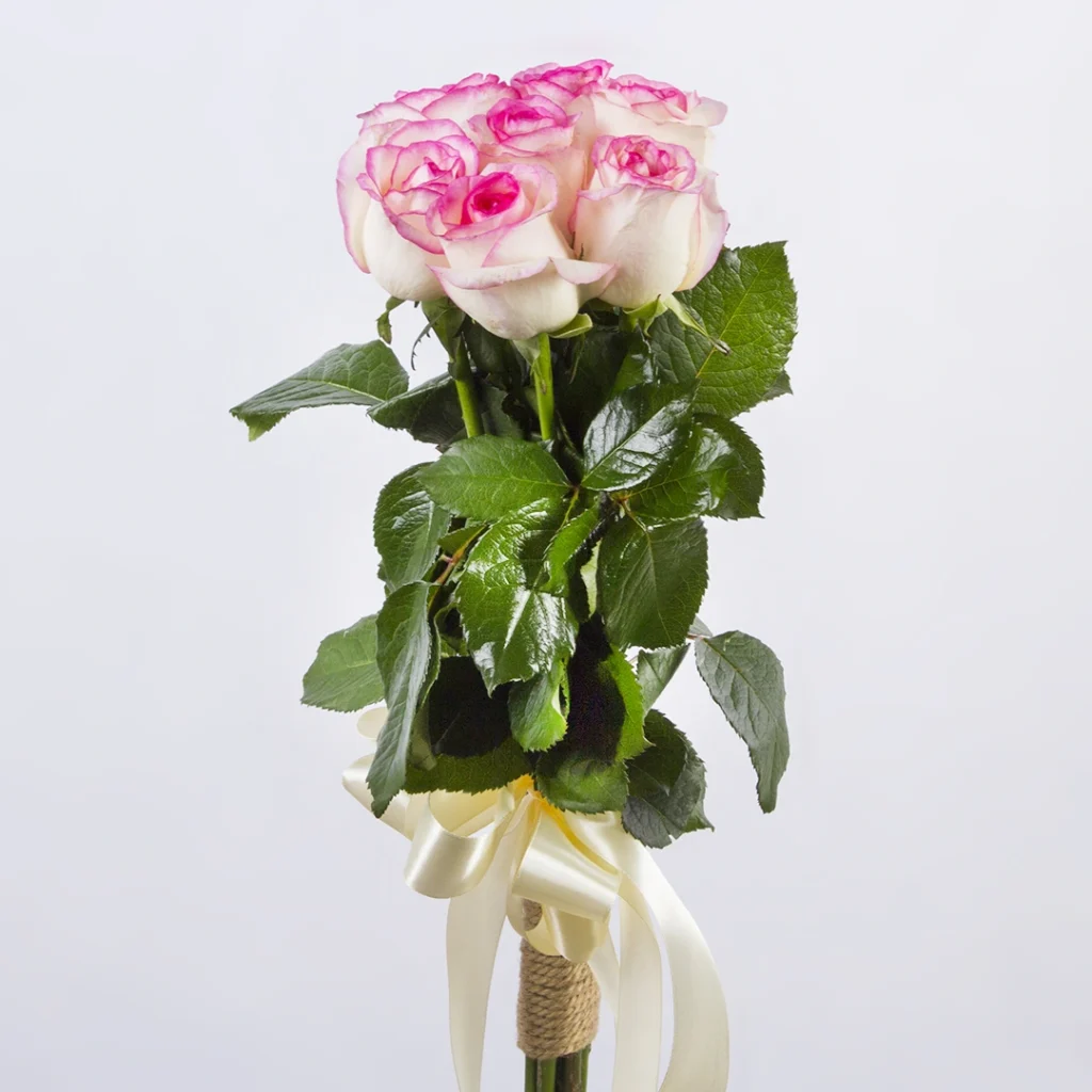 دسته گل رز هلندی لب ماتیکی کد 6210