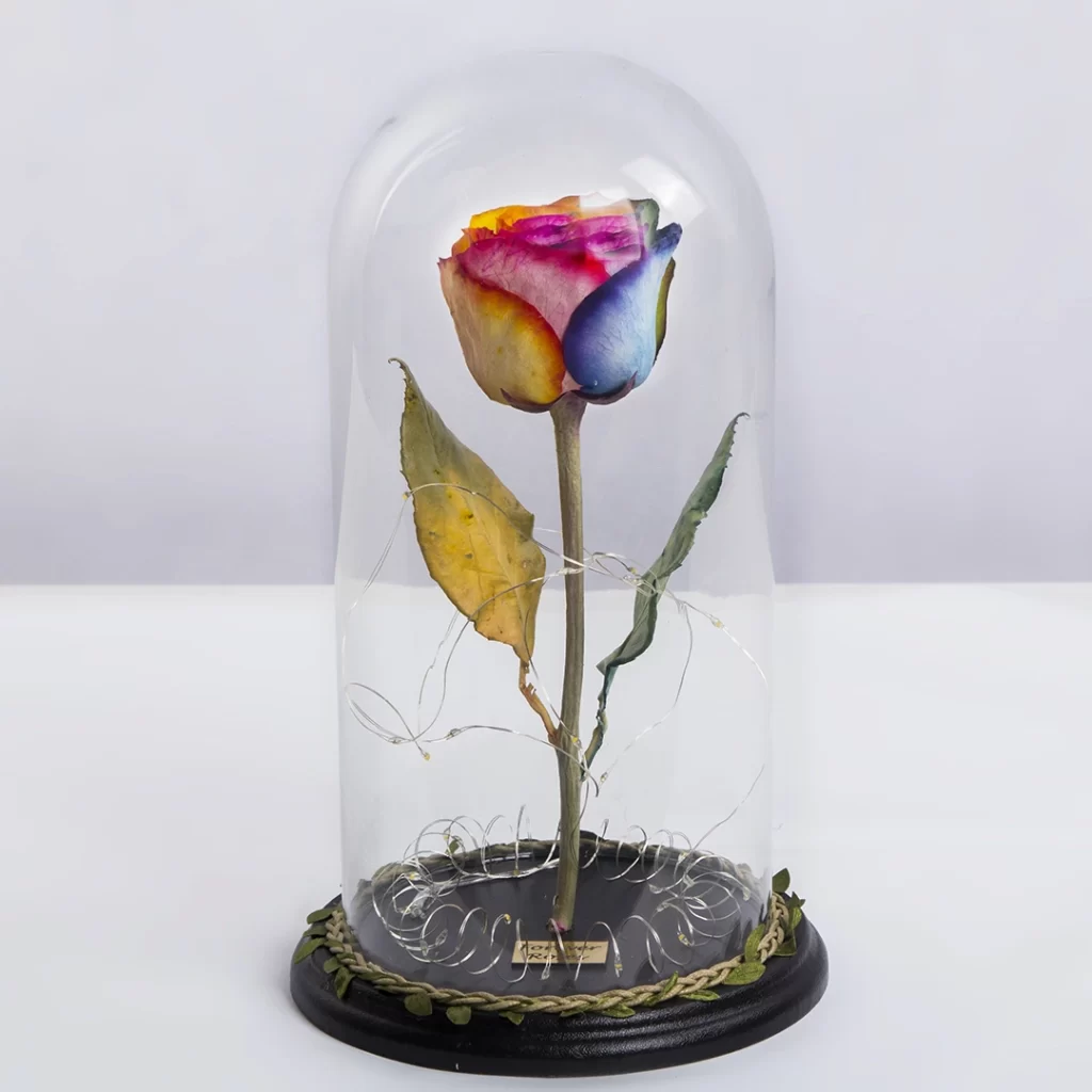 عکس گل رز جاودان هفت رنگ چراغ دار کد 2470