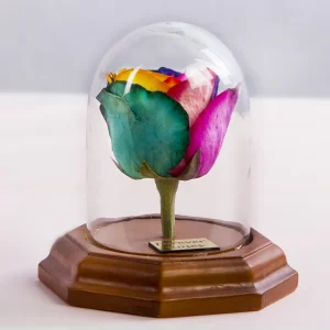 عکس باکس شیشه ای گل رز جاودان هفت رنگ کد 2460