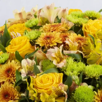 تصویر سبدگل تبریک گل رز هلندی زرد و گل آلسترومریا کد 3520