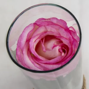 تصویر باکس گل هدیه گل رز هلندی کد 1540