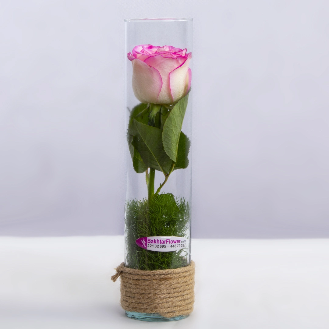 عکس گلدان شیشه ای گل رز هلندی کد 1540