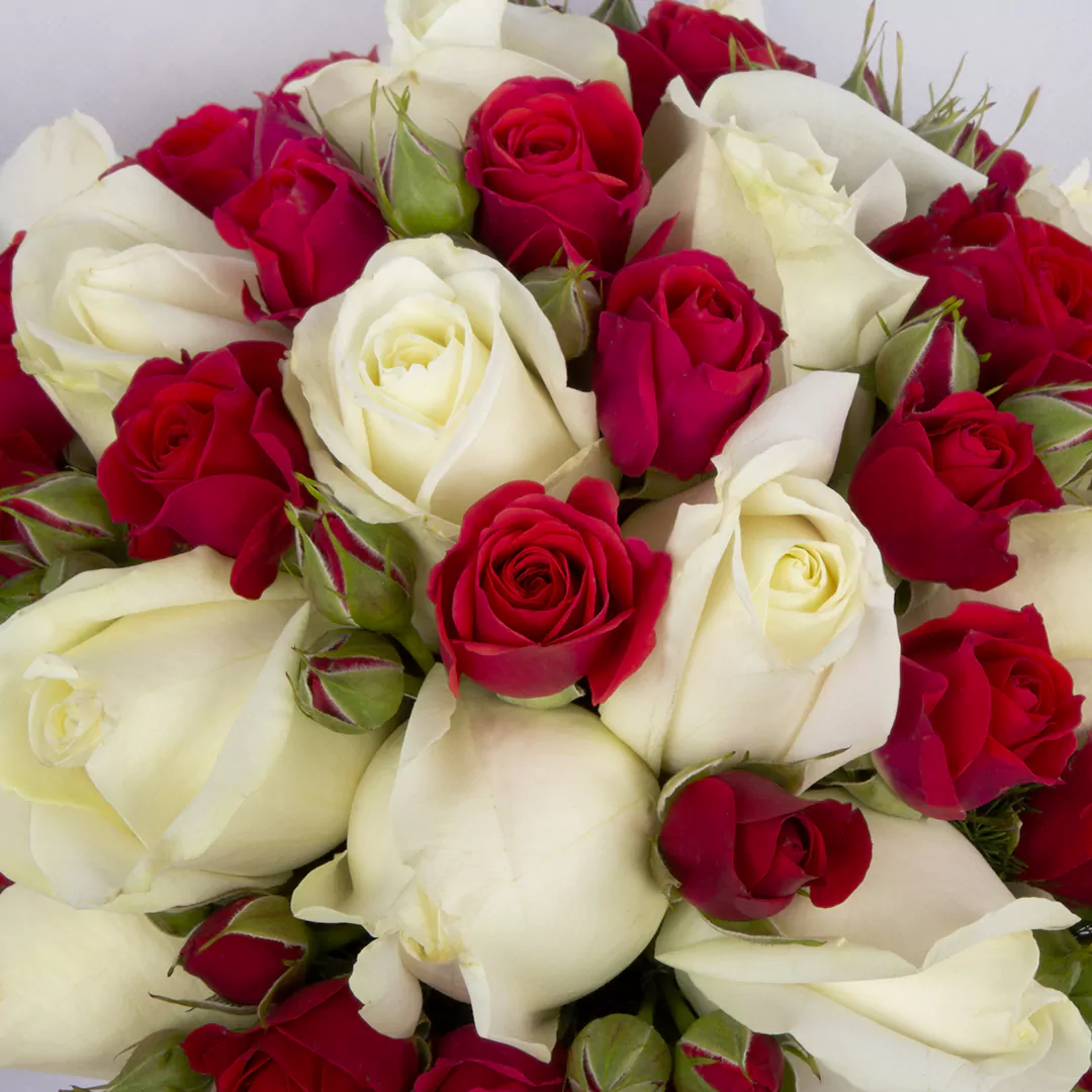 عکس دسته گل مخصوص عروس با رز مینیاتوری سفید و قرمز