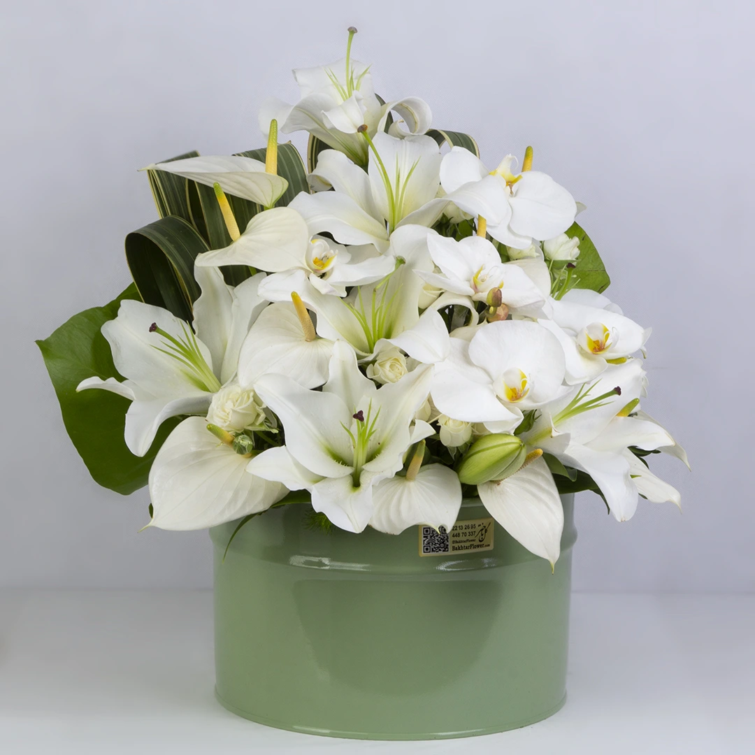 تصویر باکس گل هدیه گل انتوریم سفید و گل لیلیوم سفید کد 2760