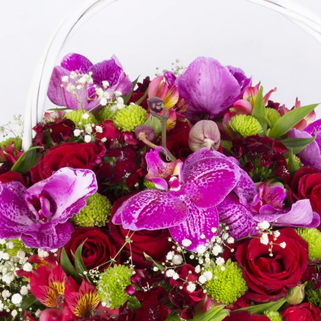 عکس سبد گل برای هدیه با گل ارکیده بنفش و گل رز هلندی قرمز کد 3530