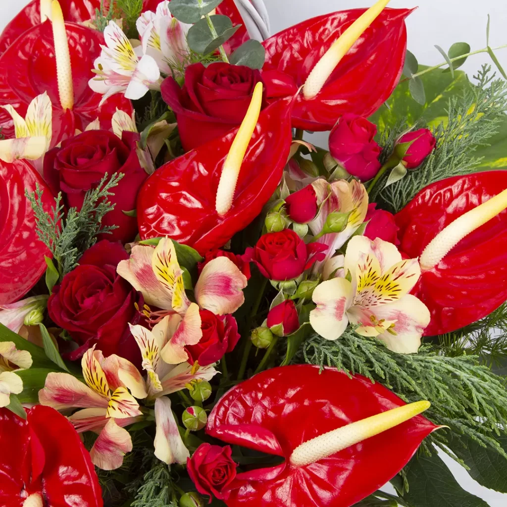 عکس سبد گل زیبا با گل رز هلندی قرمز و گل السترومریا کد 3540
