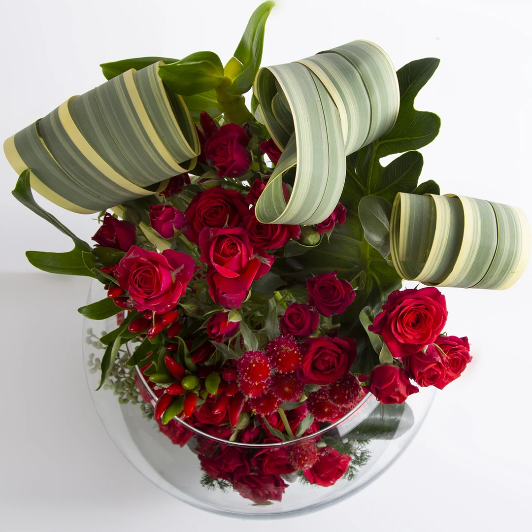 عکس گلدان گل طبیعی رز مینیاتوری قرمز کد 1570