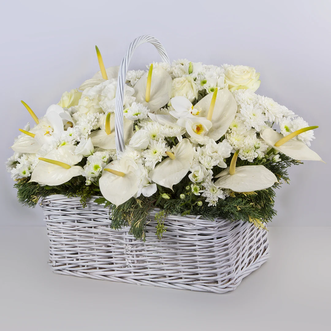 عکس سبدگل رز هلندی سفید و گل آنتوریم کد 3560