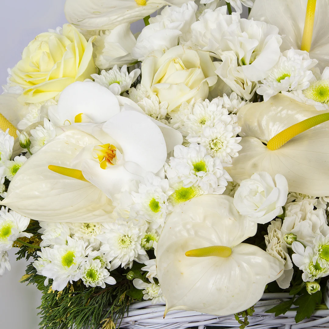 عکس گل ترحیم رز هلندی سفید و گل انتوروم با سبد حصیری کد 3560