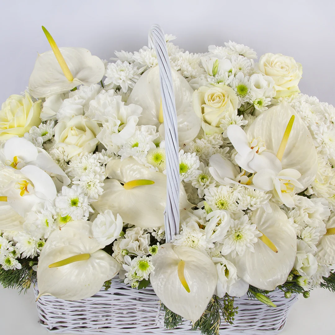 تصویر و مدل سبدگل ترحیم گل رز هلندی سفید و گل انتوریوم کد 3560