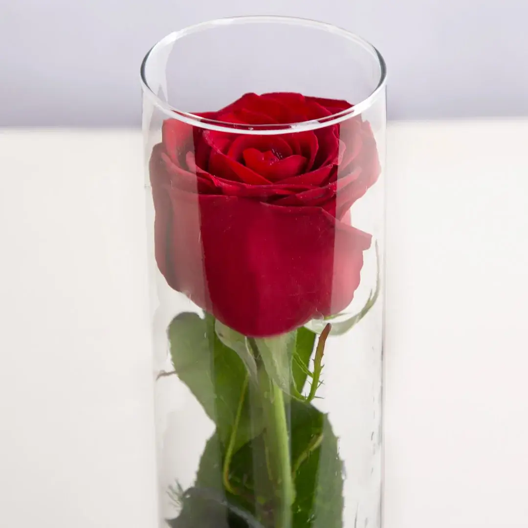 عکس باکس شیشه ای گل رز قرمز کد 1470