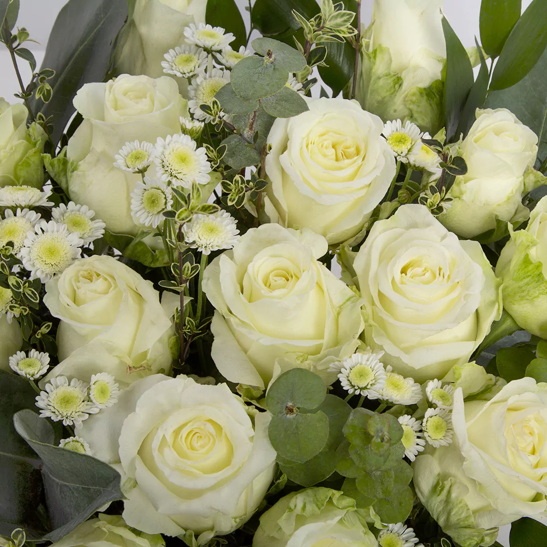 تصویر باکس چوبی گل طبیعی گل رز هلندی سفید کد 2590