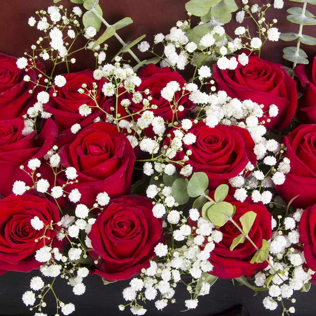 عکس باکس گل ولنتاین گل رز هلندی قرمز کد 2580