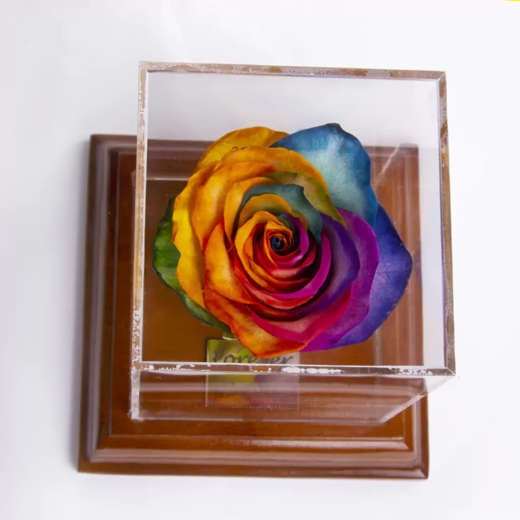 عکس گل رز جاویدان هفت رنگ در باکس شیشه ای کد 2610