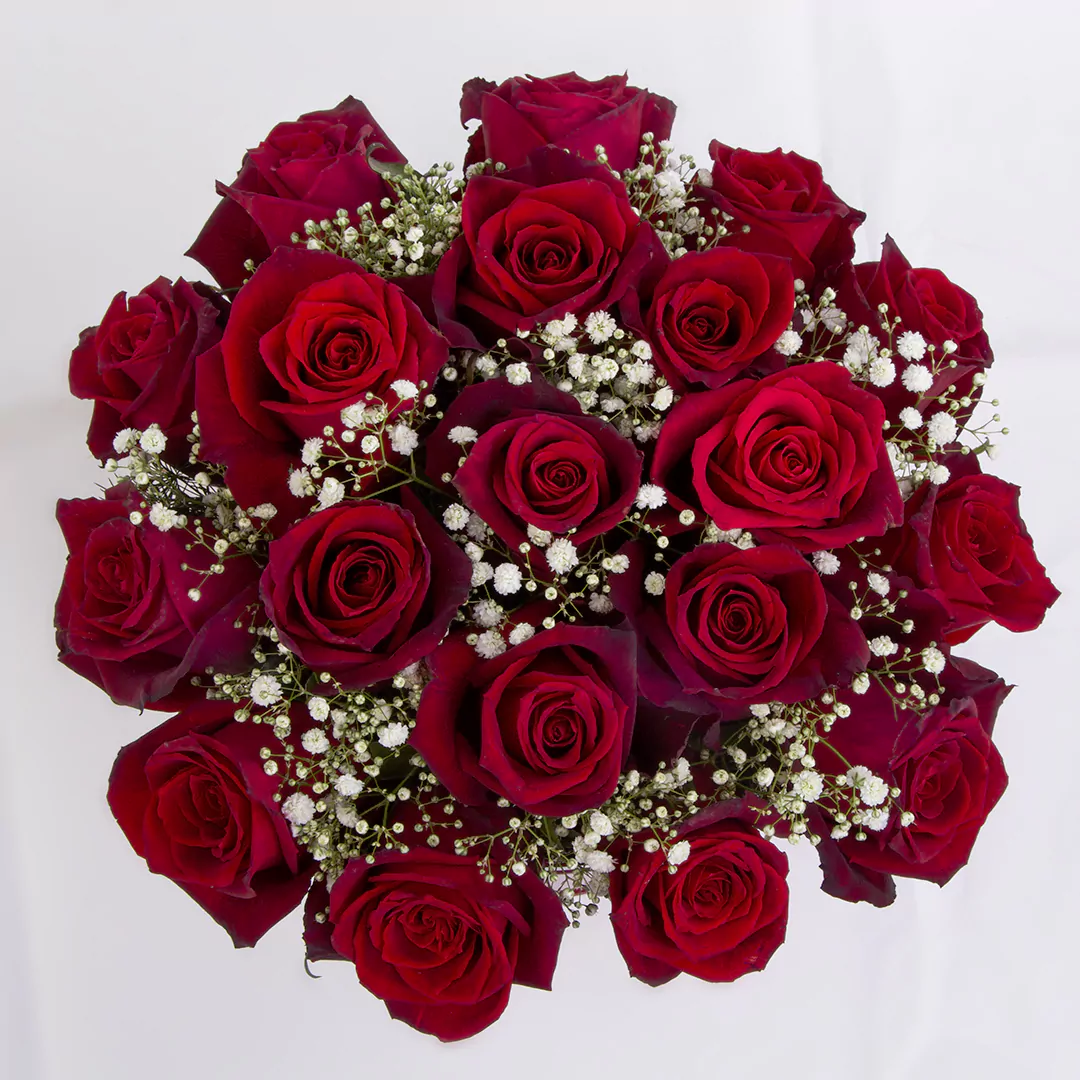 عکس باکس گل هدیه گل رز هلندی قرمز کد 2570