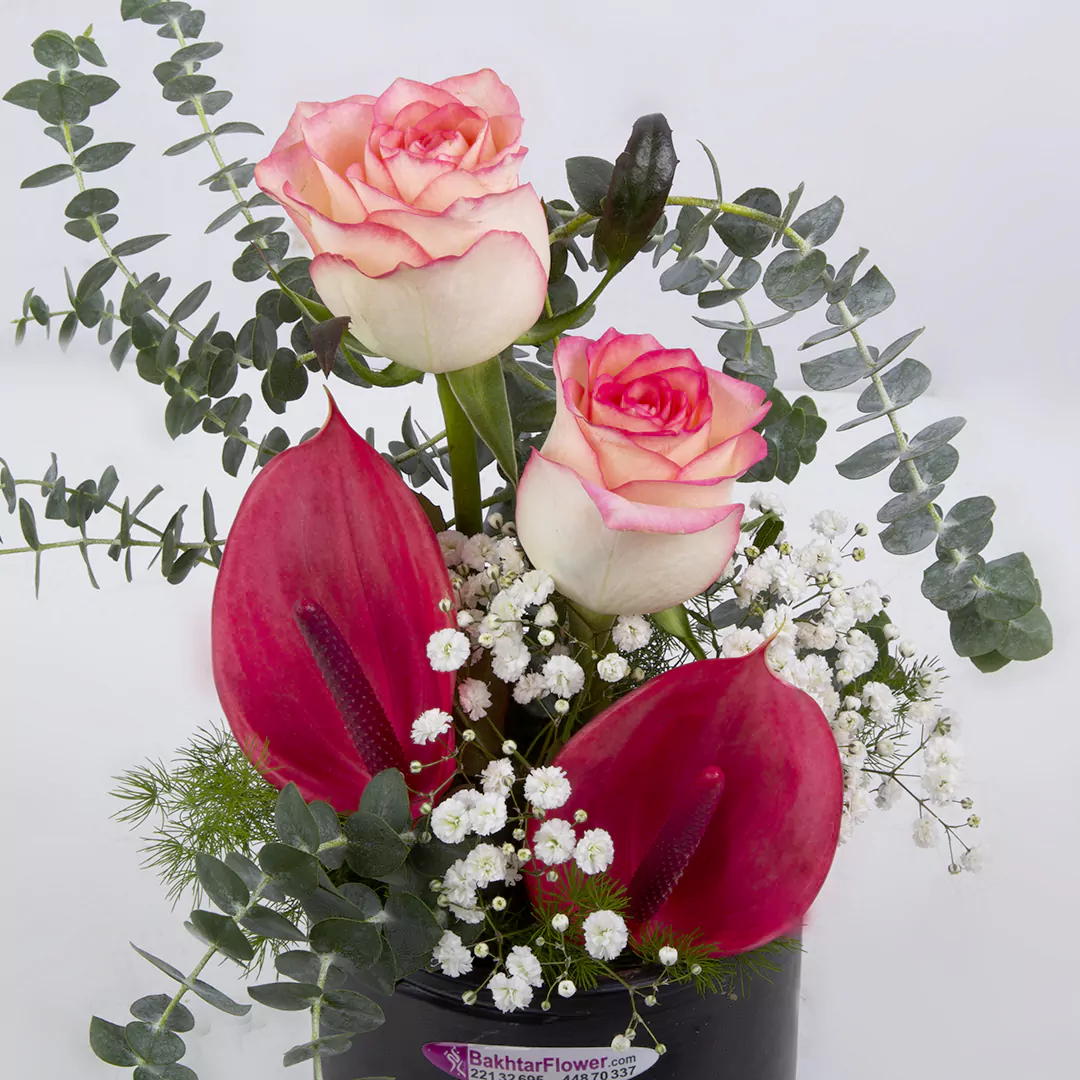 مدل گل هدیه رز هلندی و گل آنتوریم در باکس فلزی کد 2850