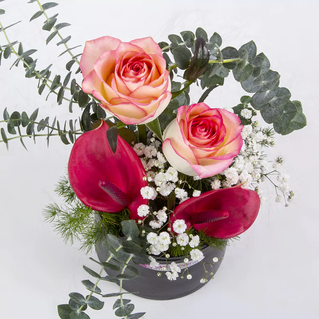 عکس گلدان گل هدیه رز هلندی و گل آنتوریوم کد 2850