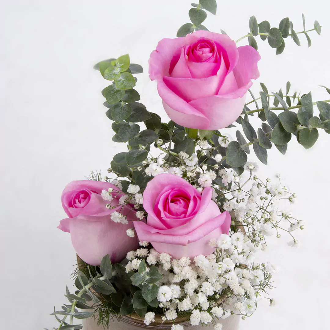 عکس گلدان گل هدیه گل رز هلندی صورتی کد 2880