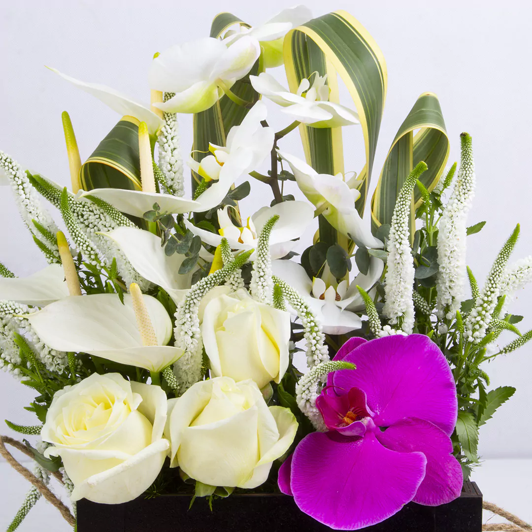 مدل باکس گل هدیه با گل آنتوریم و گل ارکیده و گل رز هلندی کد 2890