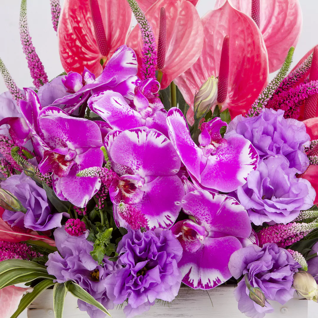 عکس باکس گل هدیه با گل آنتوریم و گل ارکیده و گل لیسیانتوس و گل ورونیکاکد 2830