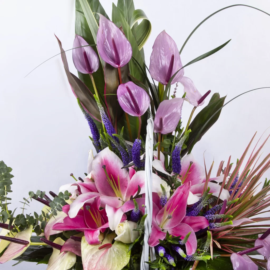عکس سبد گل زیبا با گل آنتوریم و گل رز هلندی و گل لیلیوم کد 3370