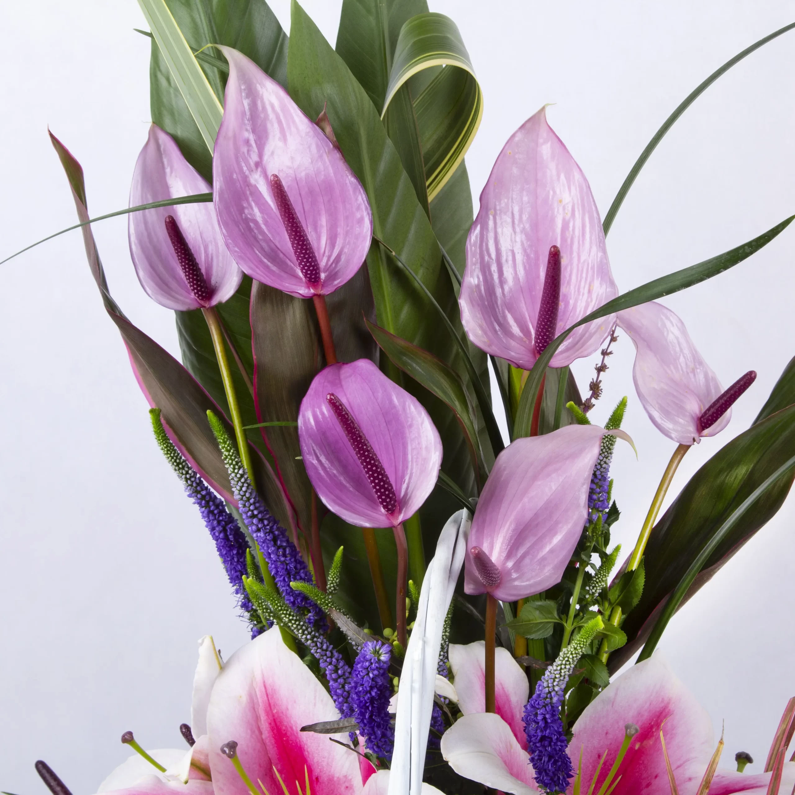 مدل سبد گل هدیه تولد با گل آنتوریم و گل رز هلندی و گل لیلیوم کد 3370
