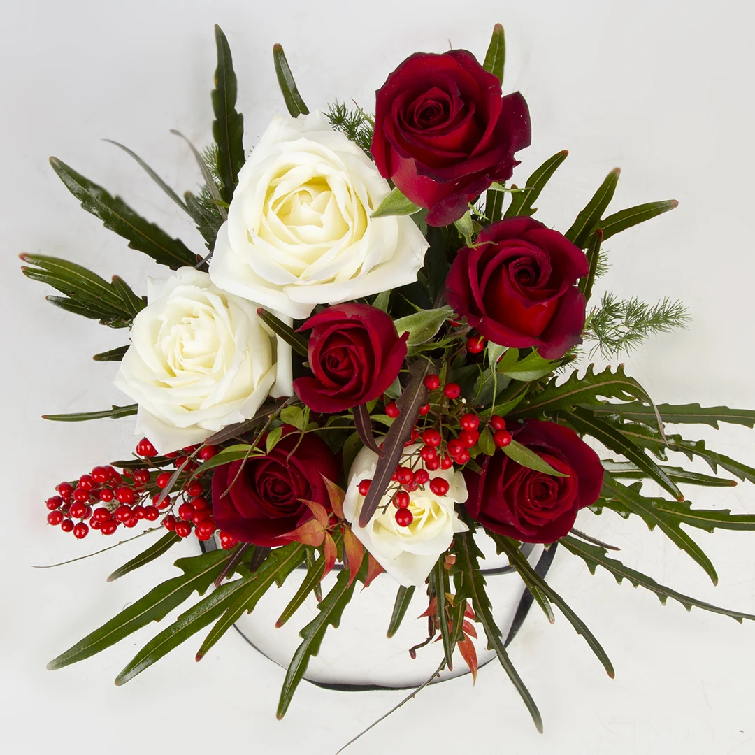 عکس باکس چوبی گل رز هلندی قرمز و سفید کد 3020