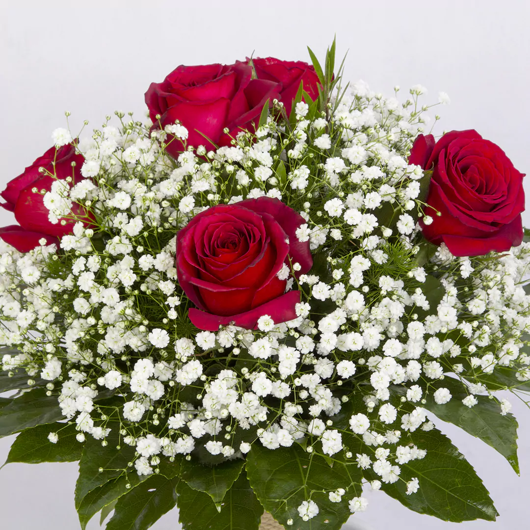 عکس دسته گل رز قرمز و گل عروس سفیدکد 6560