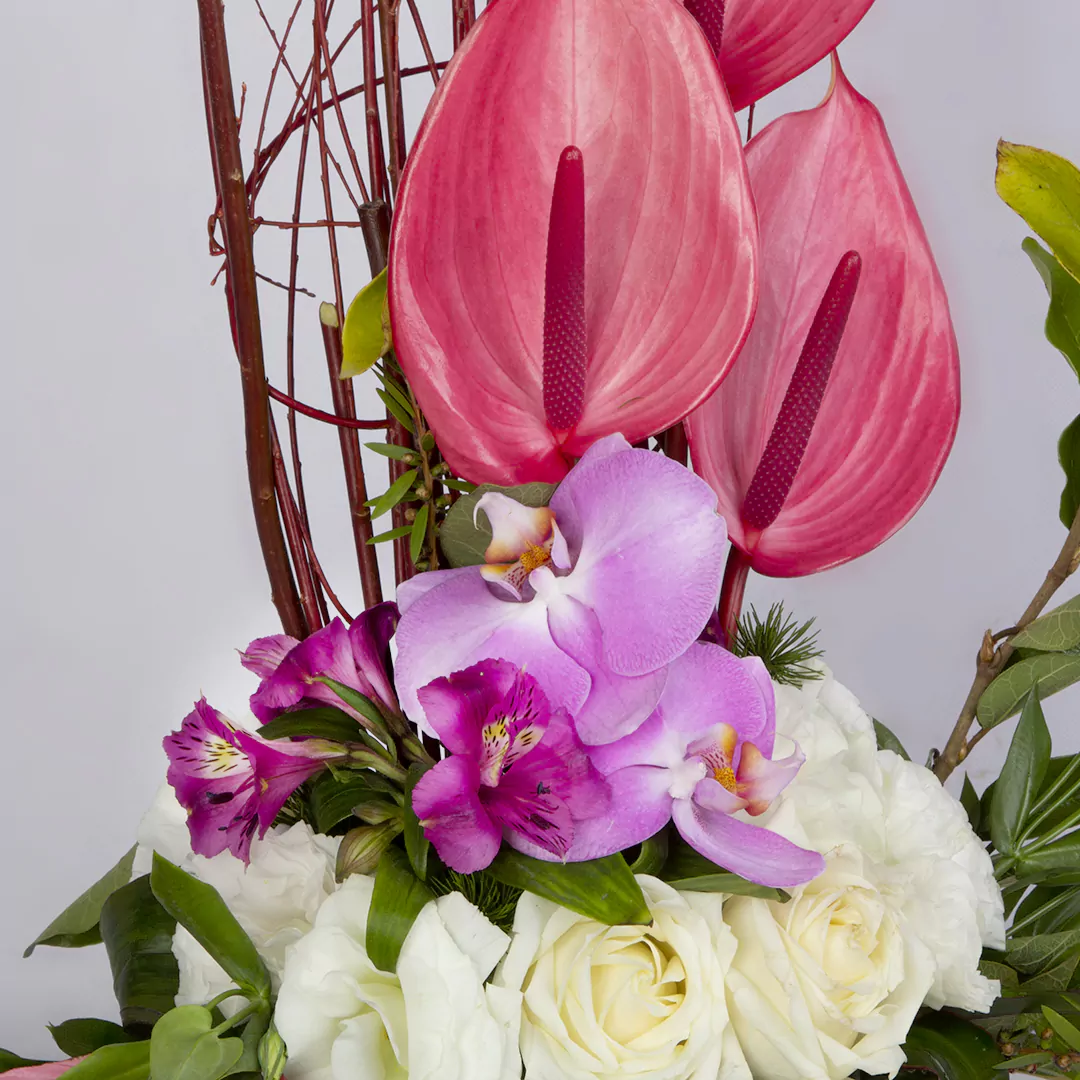 عکس باکس گل رز هلندی و گل ارکیده و گل آنتوریوم کد1750