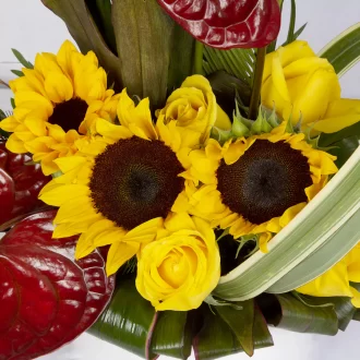 مدل باکس گل رز هلندی و گل آفتاب گردان و گل آنتوریوم کد1740