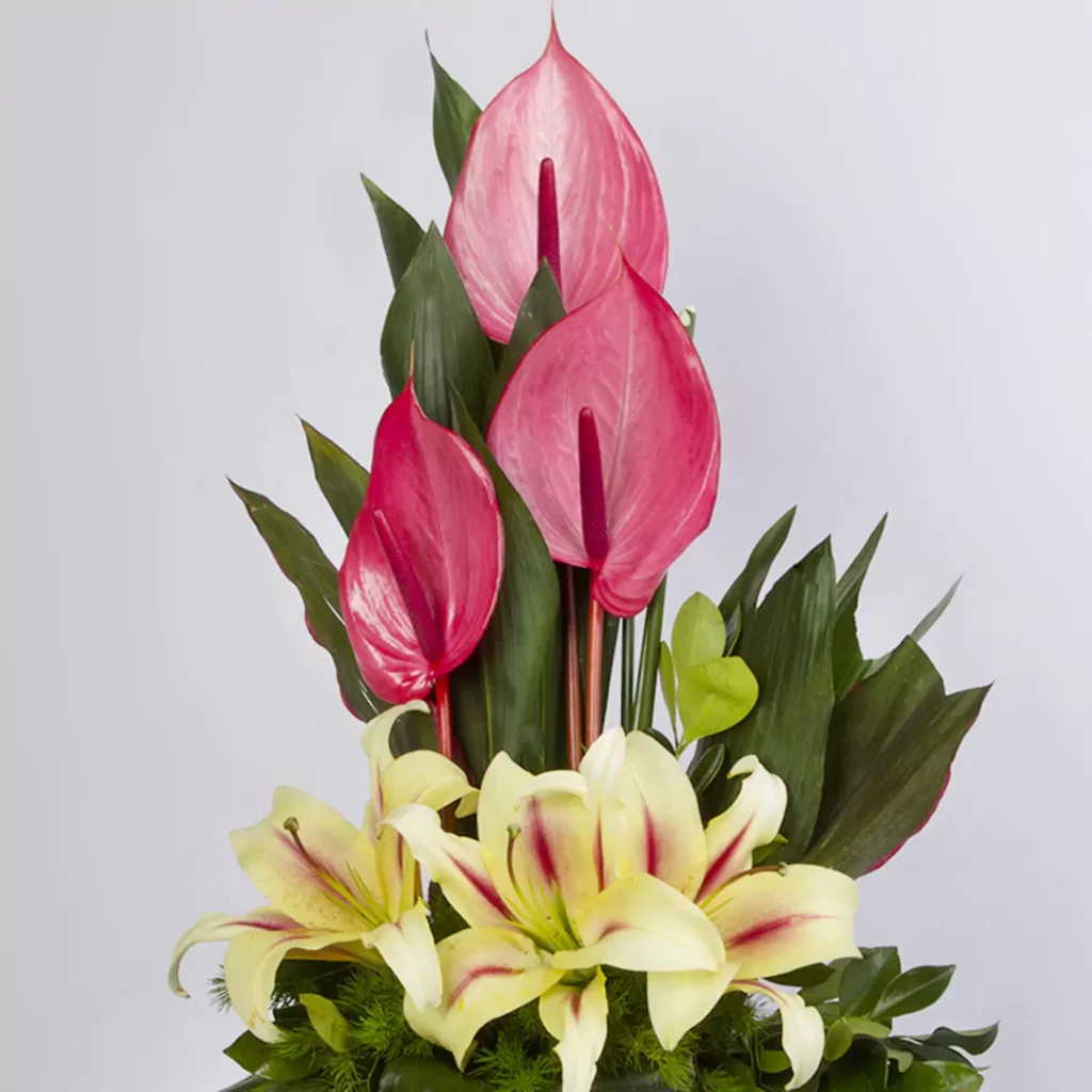 عکس گلدان گل هدیه آنتوروم و لیلیوم کد 1700
