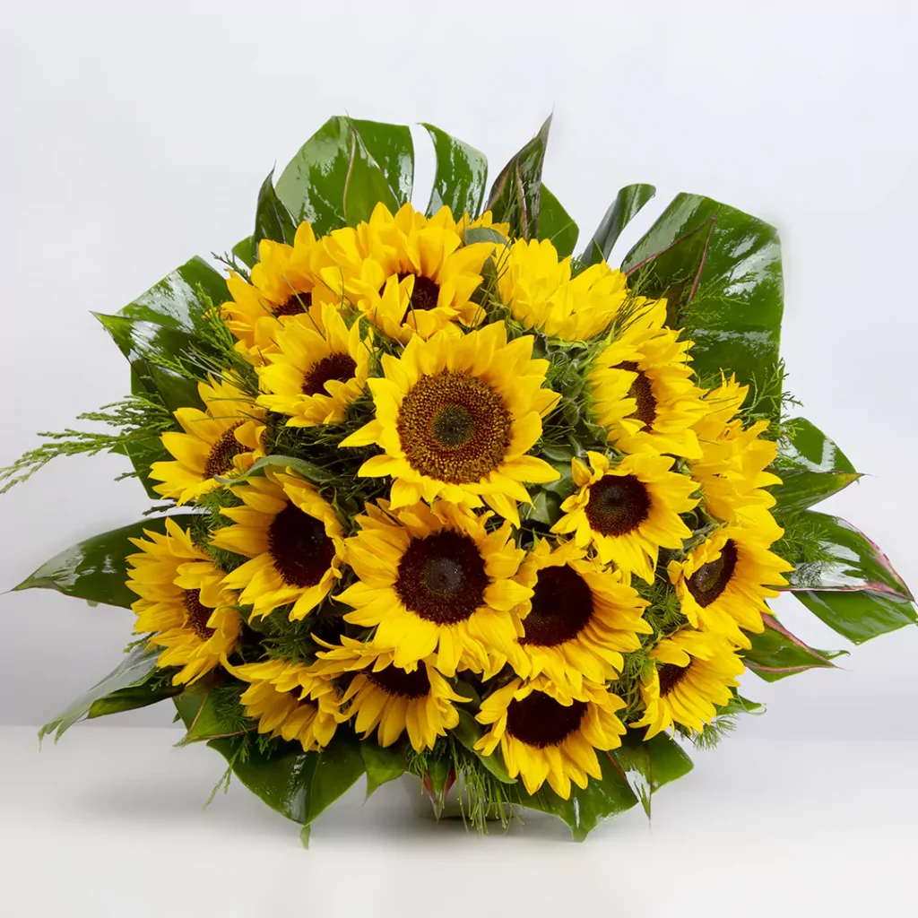 عکس دسته گل آفتابگردان کد 6590