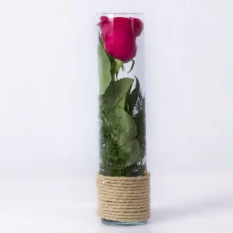 مدل باکس گل شیشه ای با گل رز قرمز کد 1770