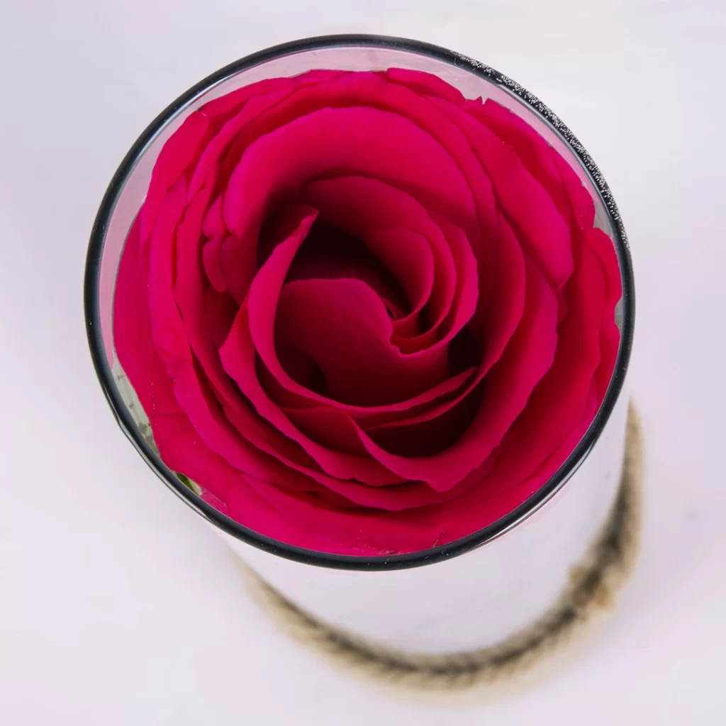 عکس باکس گل رز قرمز کد 1770