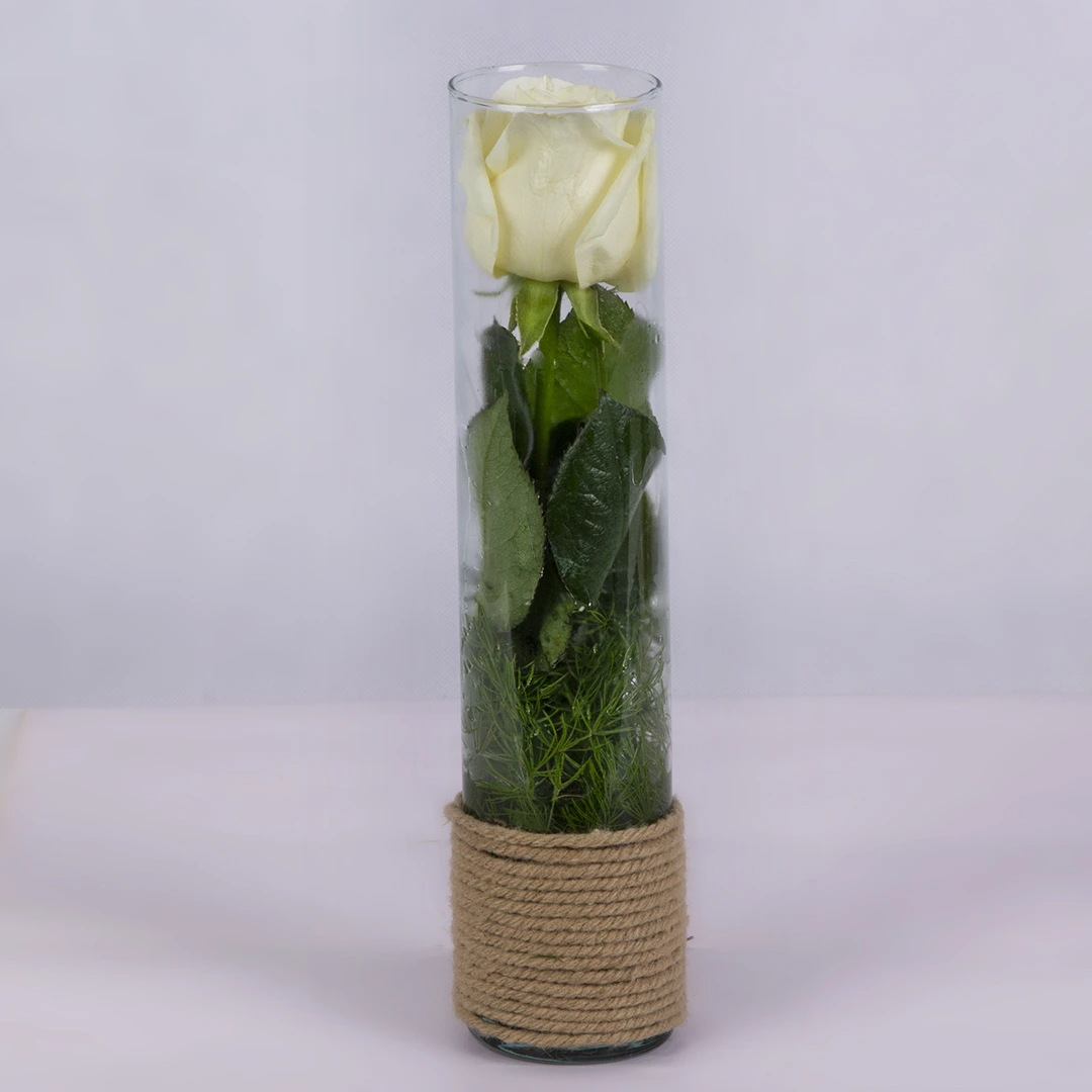 مدل باکس گل شیشه ای رز هلندی نباتی کد 1780