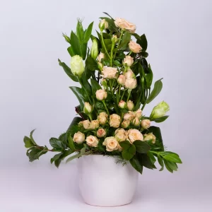 عکس گلدان گل رز مینیاتوری کد 1790
