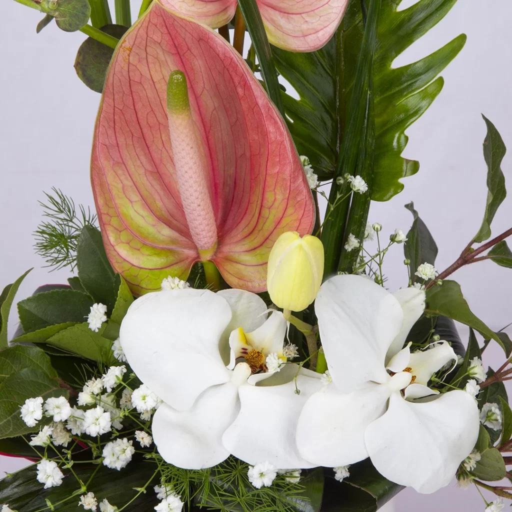 مدل باکس گل هدیه با گل نتوریوم و گل ارکیده کد 1800