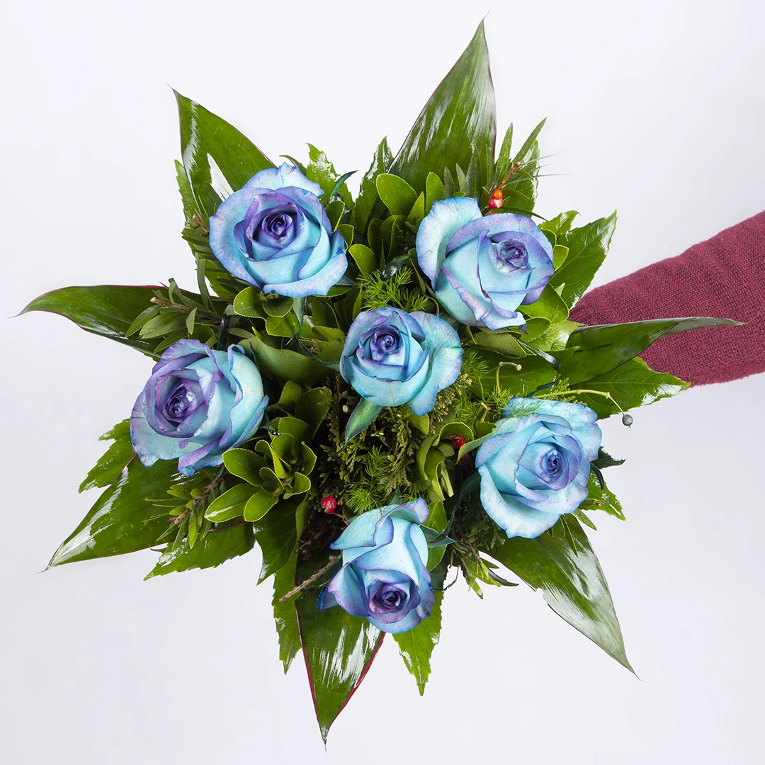 عکس دسته گل زیبا با گل رز هلندی کد 6610