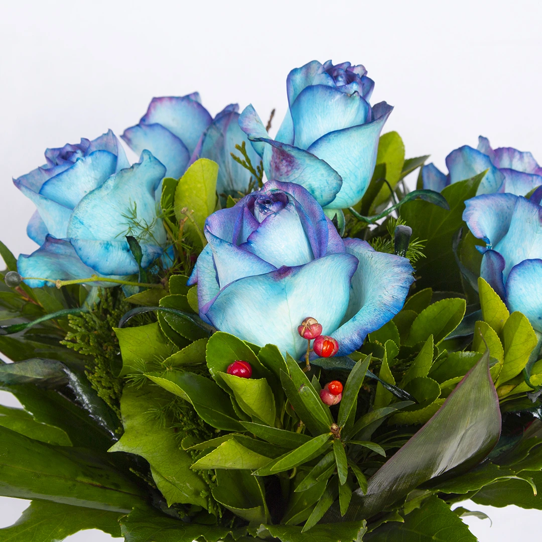 عکس دسته گل هدیه زیبا با گل رز هلندی آبی کد 6610