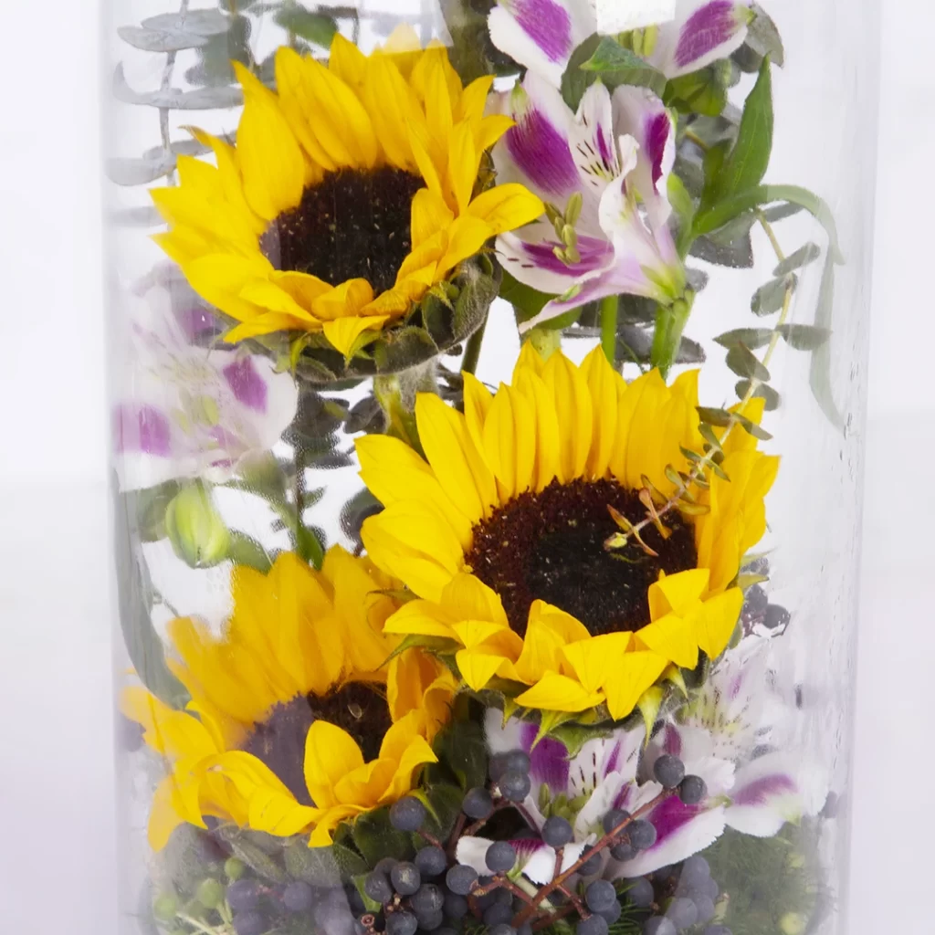 مدل باکس شیشه ای گل آفتاب گردان کد 4200