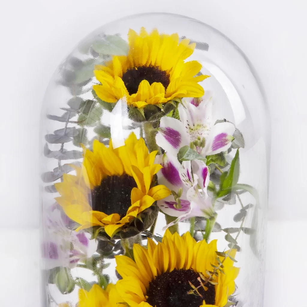 عکس باکس گل شیشه ای هدیه با گل افتابگردان کد 4200