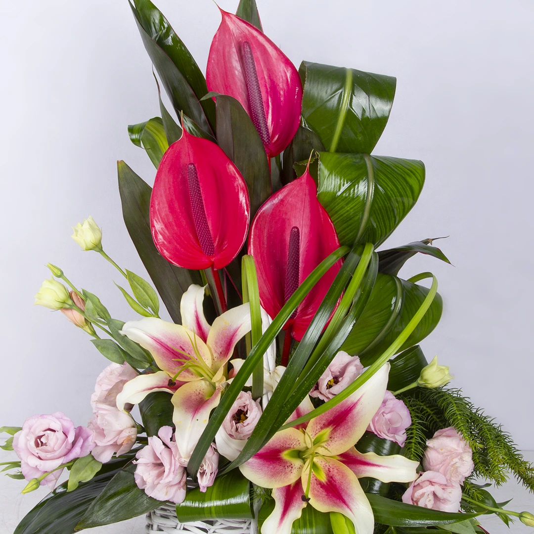 مدل سبد گل هدیه با گل انتوریم و لیلیوم کد 3650