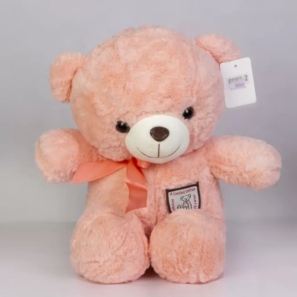 مدل عروسک خرس کد 9420