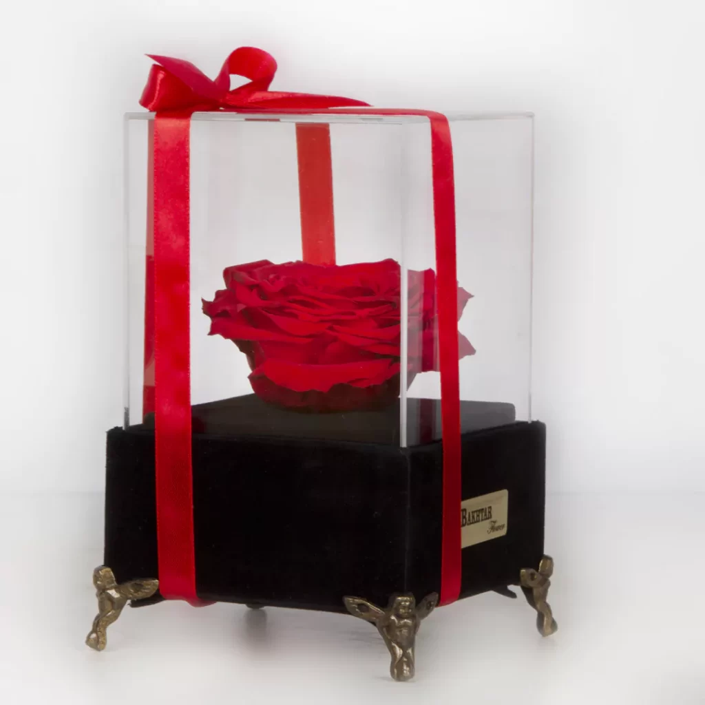 مدل گل رز جاودان ولنتاین هدیه در باکس شیشه ای کد 1050