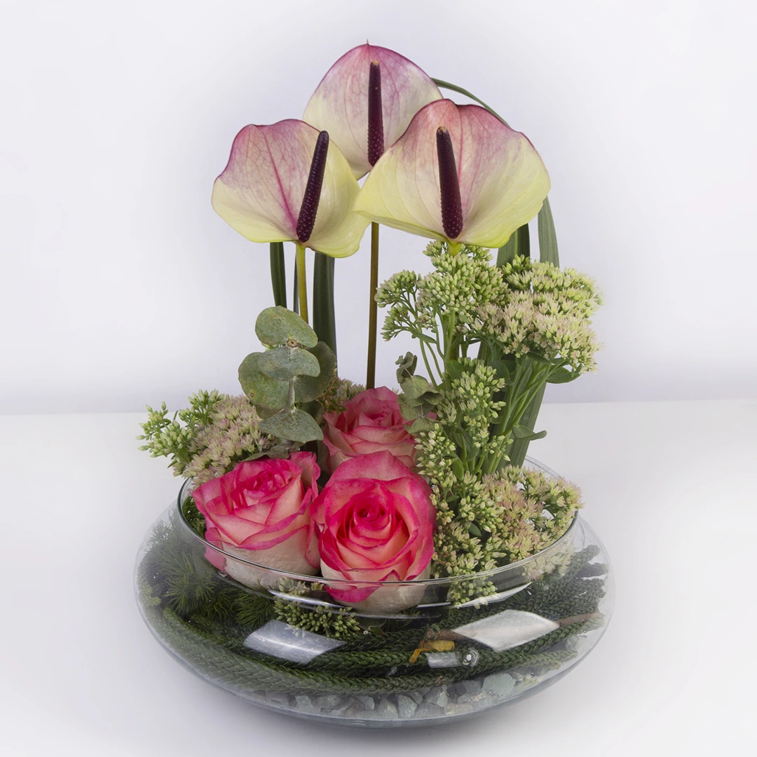 مدل باکس شیشه ای گل آنتوریوم و رز کد 1850