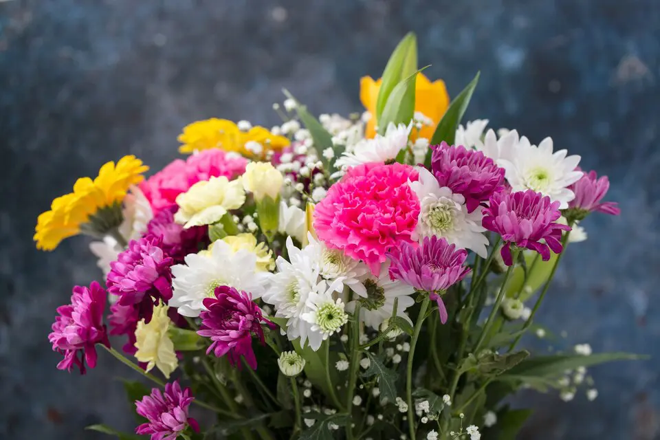 خرید آنلاین شاخه گل بریده شده از گل باختر